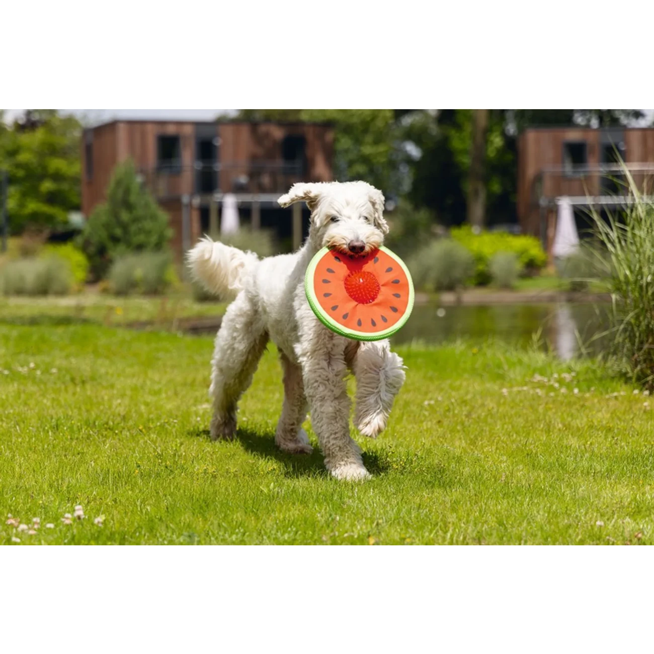 Schwimmspielzeug Neopren Melone Spikie Bild 2