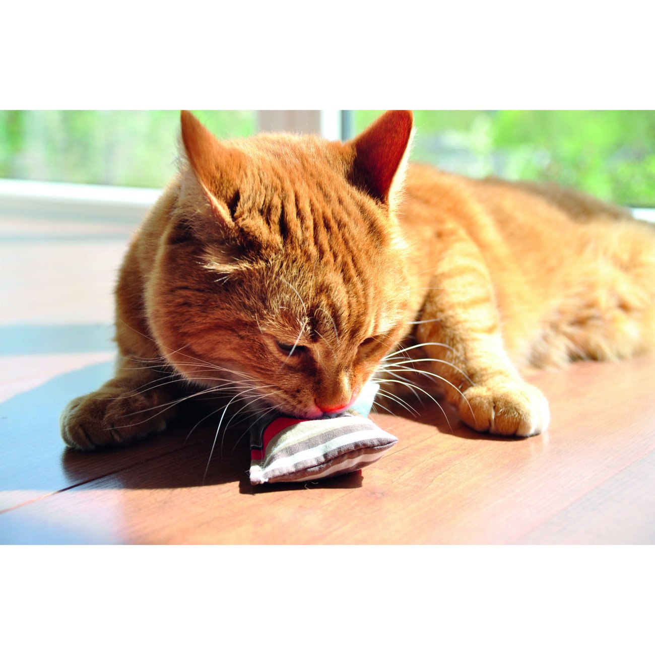 Baldini Katzenspielkissen mit Baldrian Bild 5