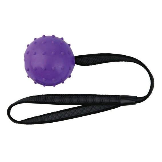 Ball am Nylongurt Bild 1