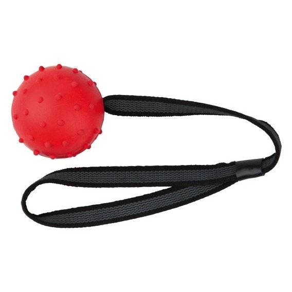 Ball am Nylongurt Bild 2