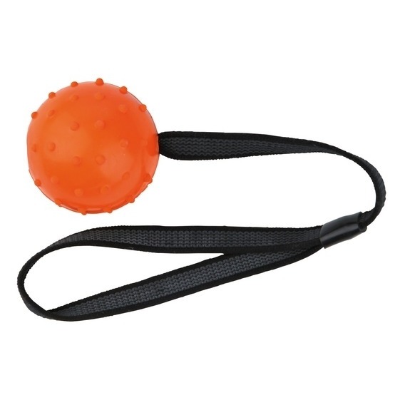 Ball am Nylongurt Bild 4
