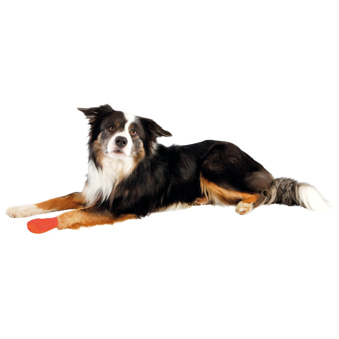 Bandagen für Haustiere selbsthaftend mit Bitterstoff Bild 3