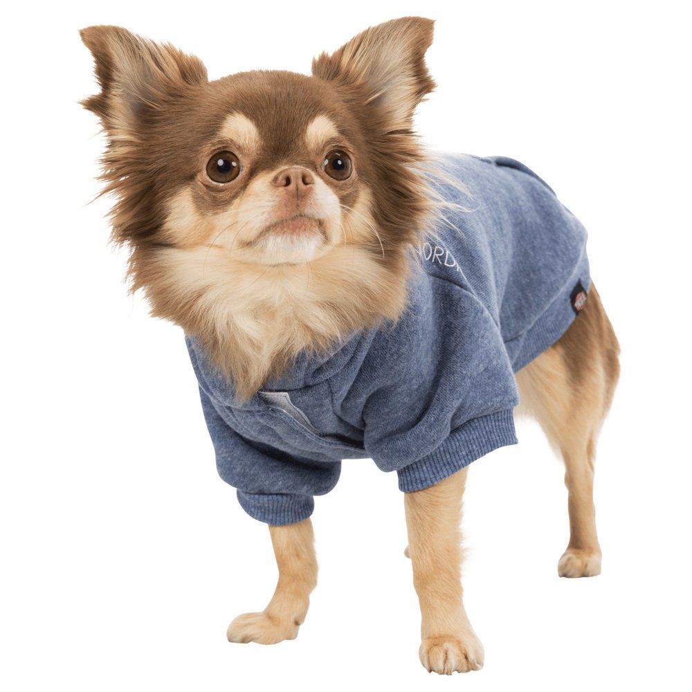 BE NORDIC Hunde Hoodie Flensburg Bild 17