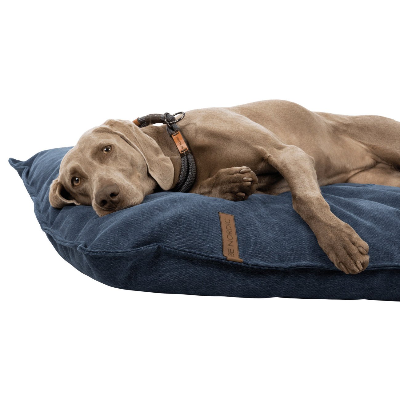 BE NORDIC Hundekissen Föhr Bild 4