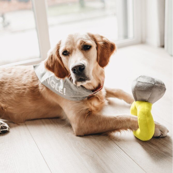 Bandana My boss is single Bild 4