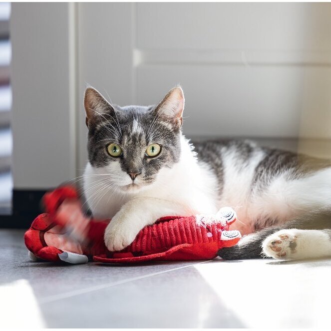 Bewegender Hummer Katzenspielzeug Bild 2