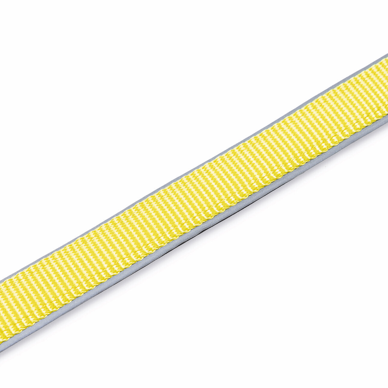 Blinkende Hundeleine Parinca Premium Bild 3