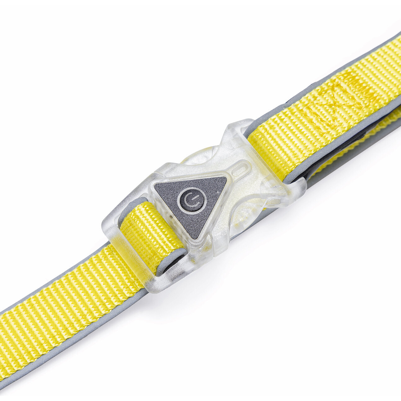 Blinkende Hundeleine Parinca Premium Bild 4