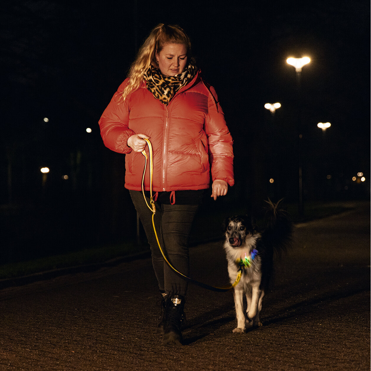 Blinkende Hundeleine Parinca Premium Bild 9