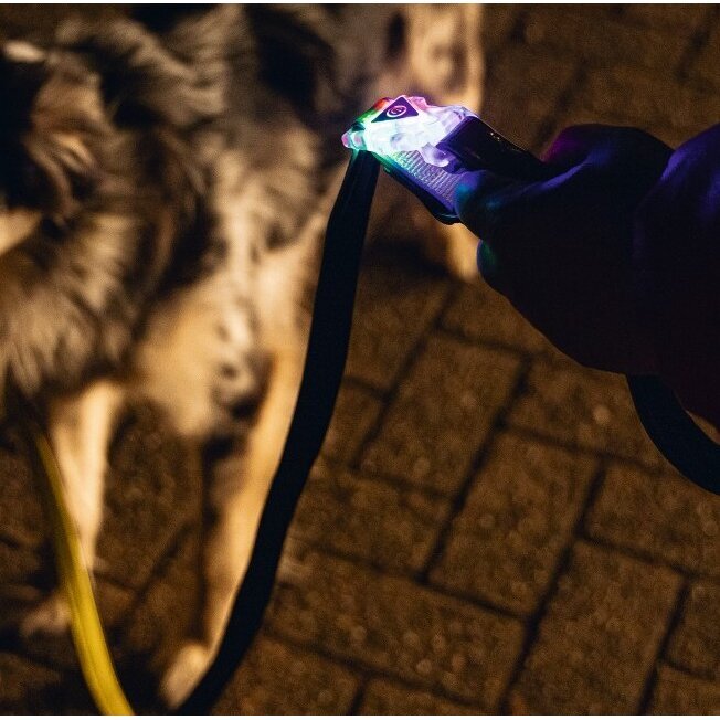 Blinkende Hundeleine Parinca Premium Bild 2