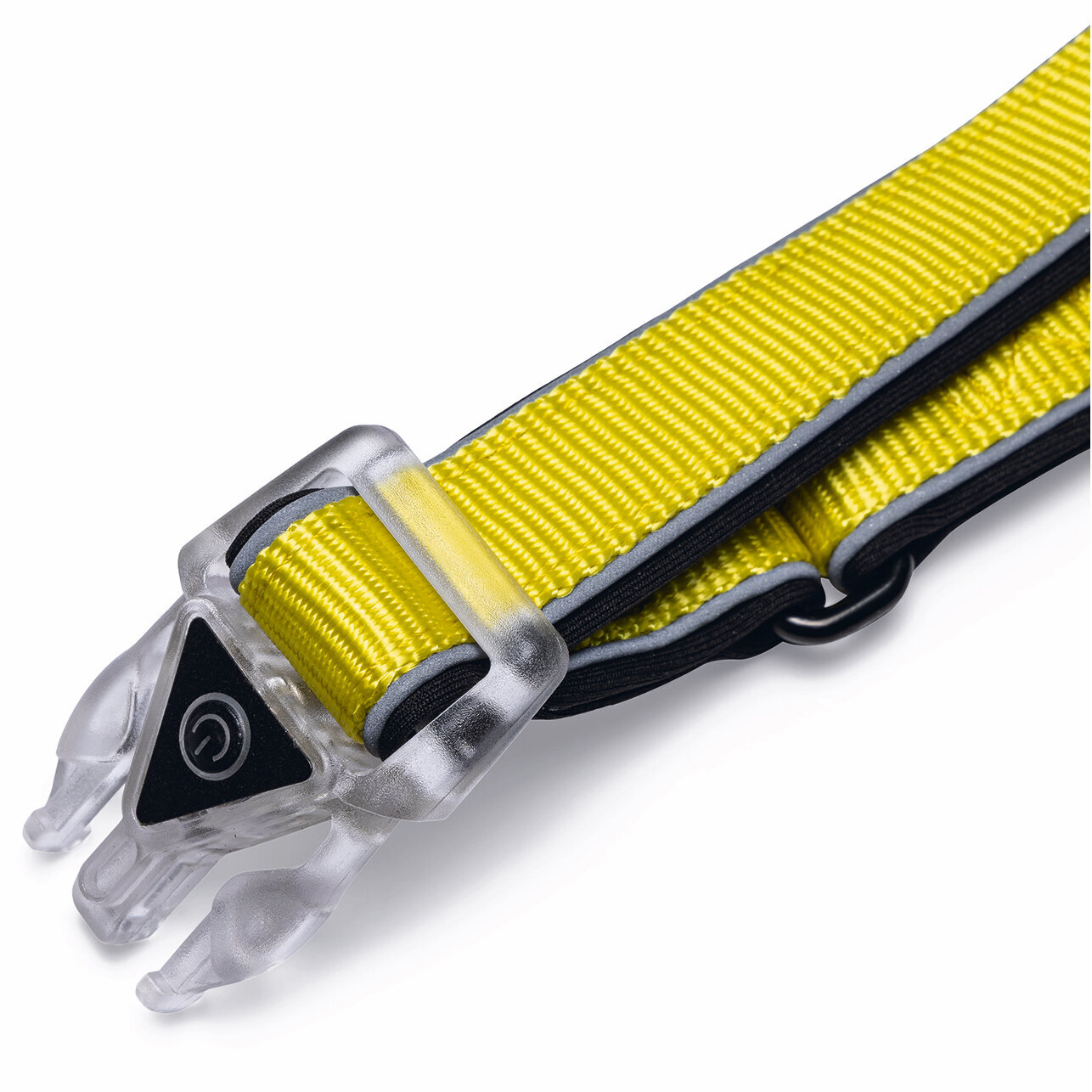 Blinkende Hundeleine Parinca Premium Bild 5