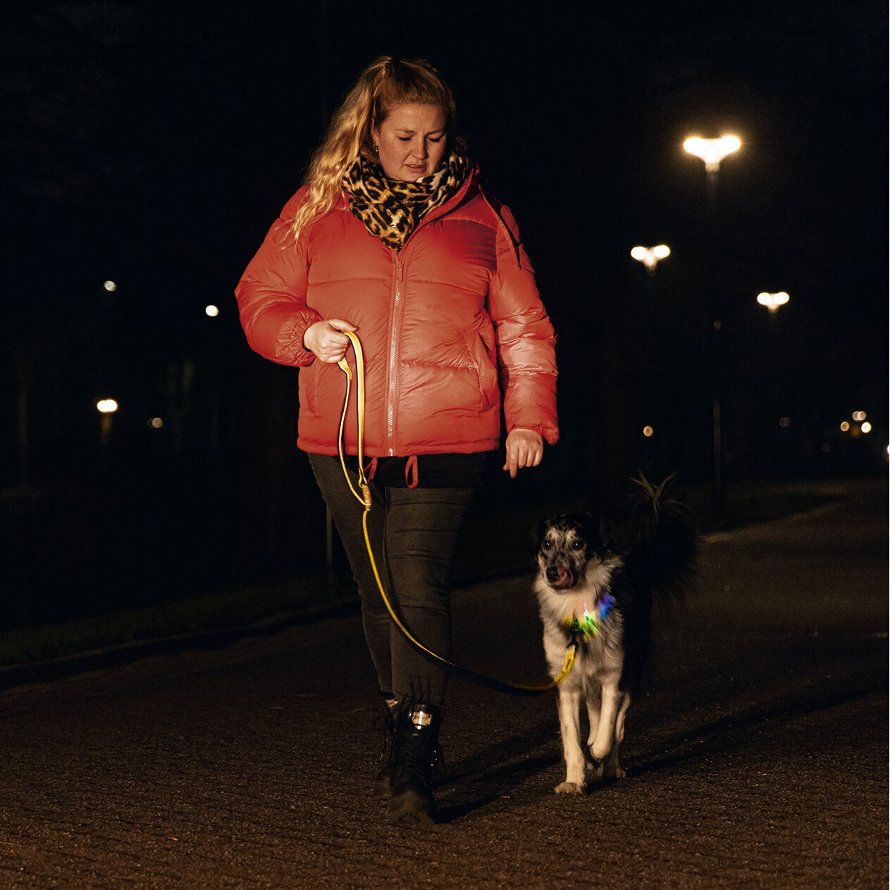 Blinkendes Halsband Parinca Premium Bild 4