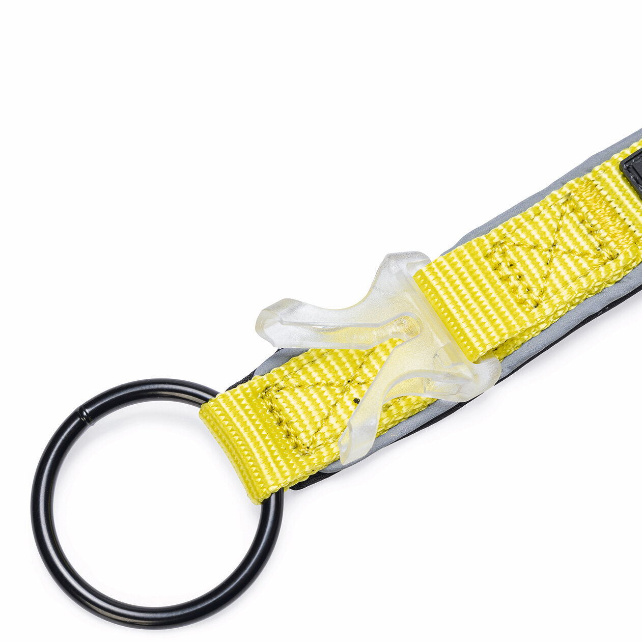 Blinkendes Halsband Parinca Premium Bild 7