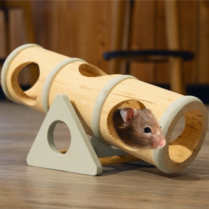 Clovis Nagertunnel mit Wippe Bild 2