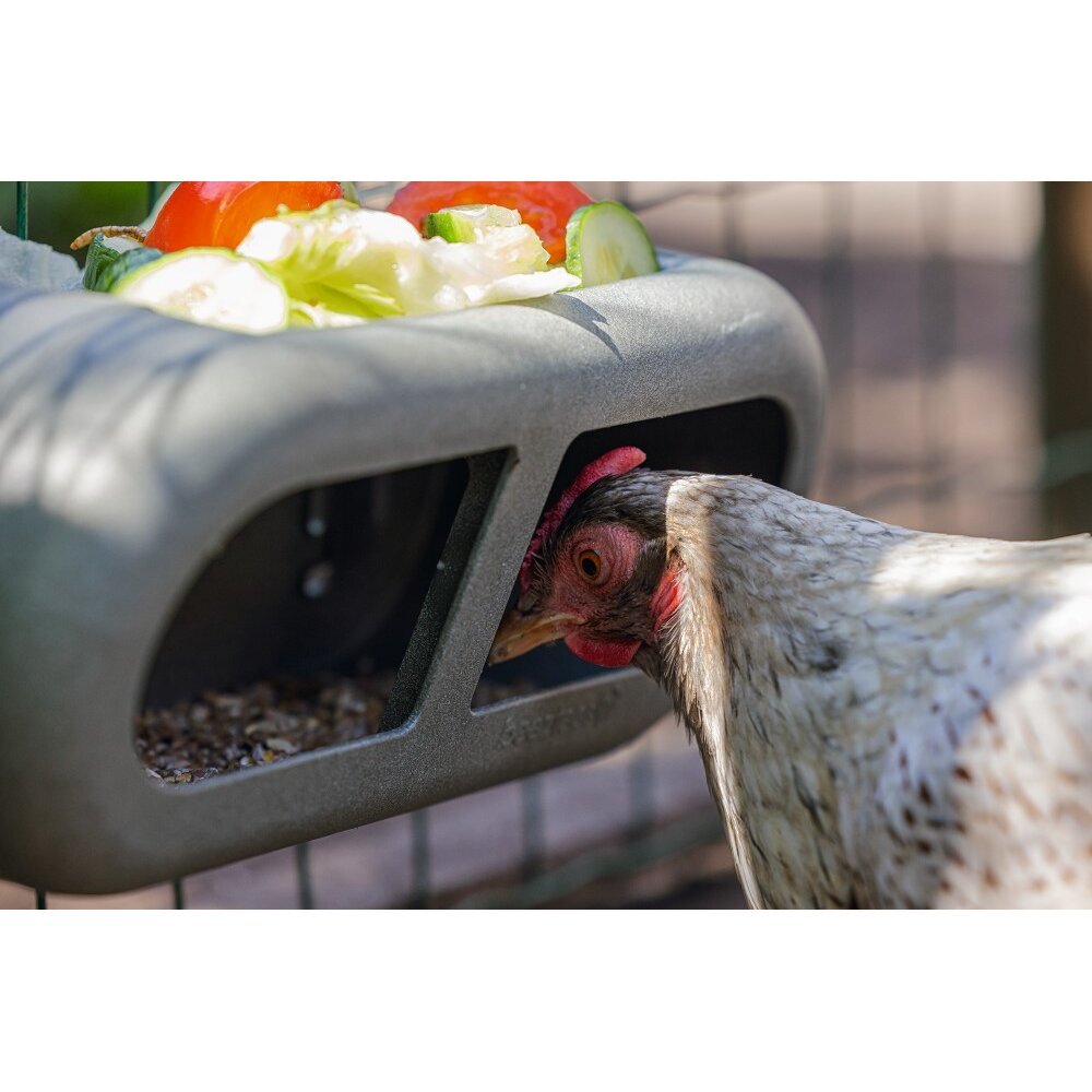 ECO Hühner Feeder Bild 2