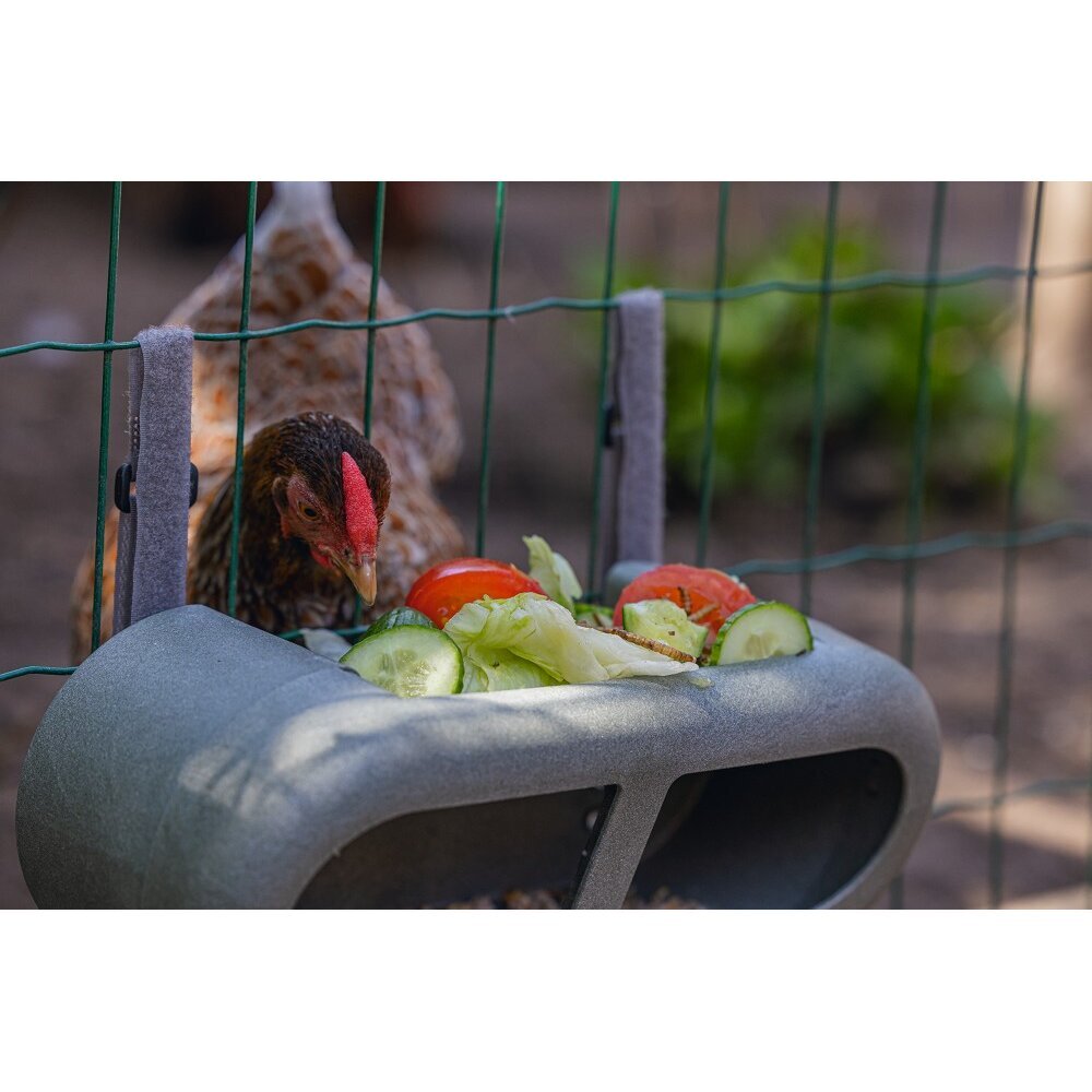 ECO Hühner Feeder Bild 4
