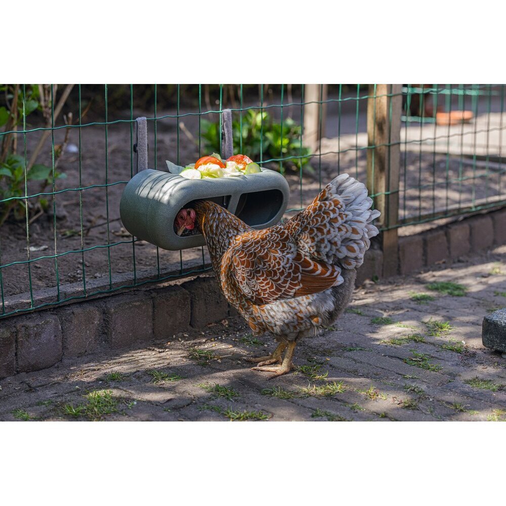 ECO Hühner Feeder Bild 3