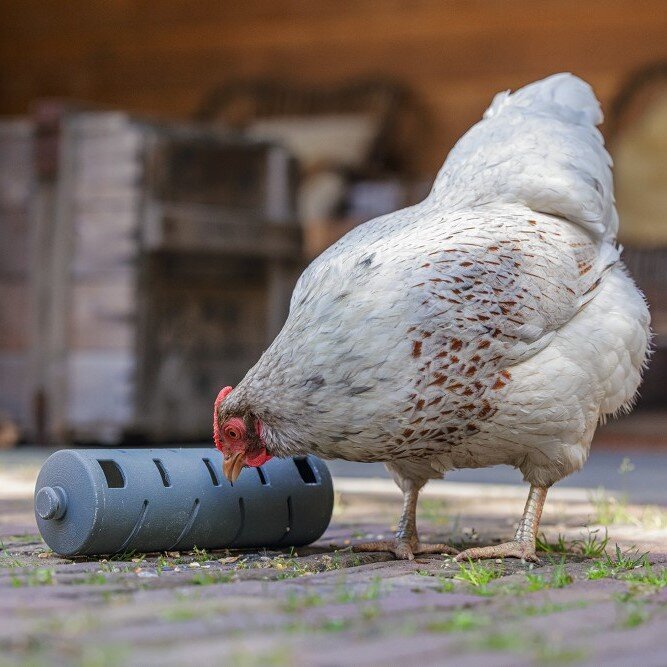 ECO Hühner Snackroller Bild 5