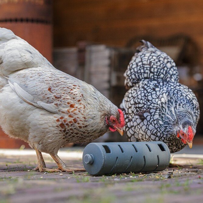 ECO Hühner Snackroller Bild 3