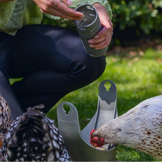 ECO Futter- und Snackrolle für Hühner Bild 5
