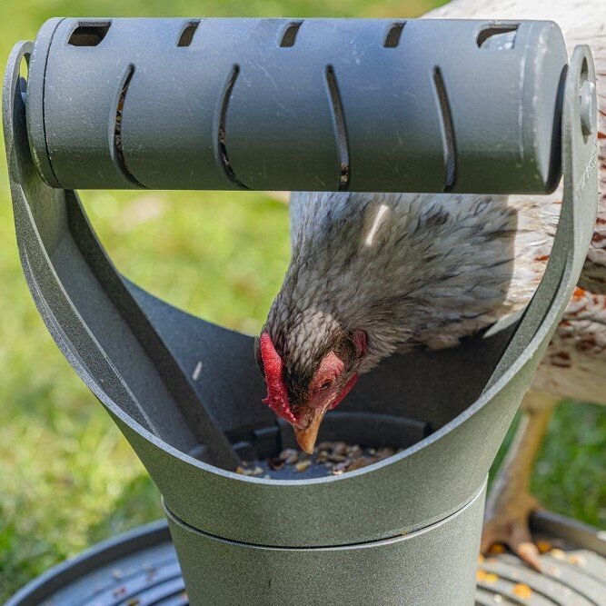ECO Futter- und Snackrolle für Hühner Bild 4