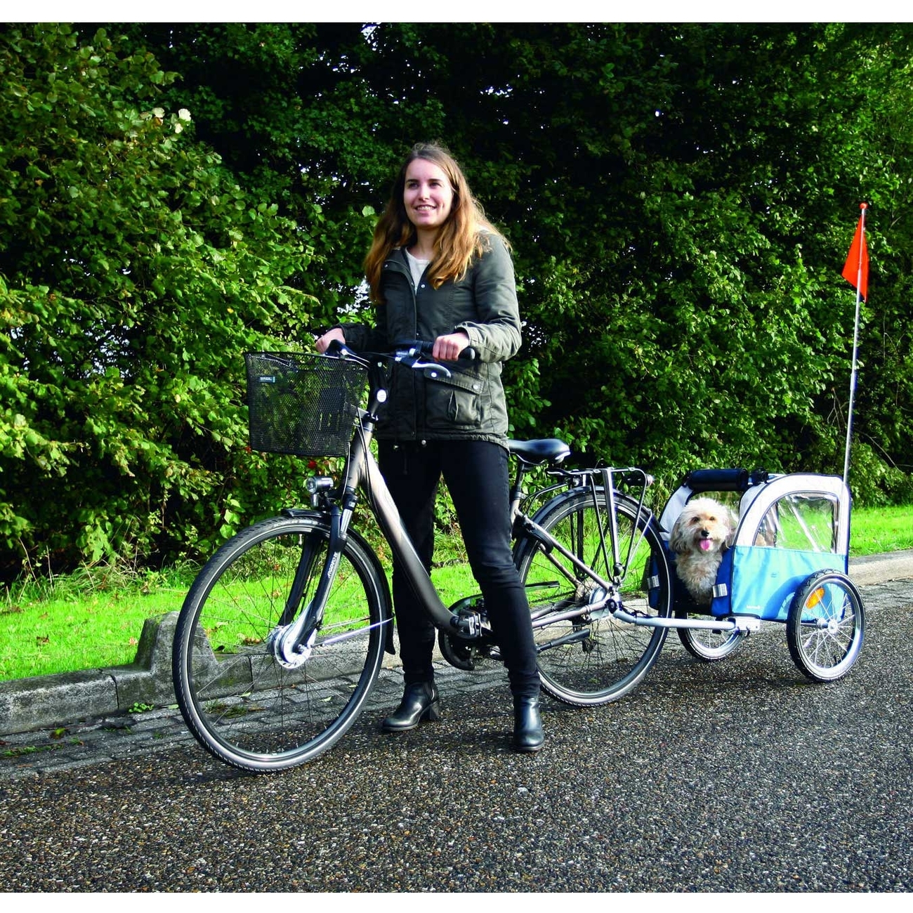 Beeztees Fahrradanhänger Fortimo 109 Bild 4