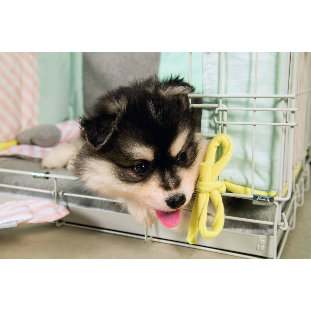 Beeztees Gitterbox Transportkäfig für Welpen Bild 6