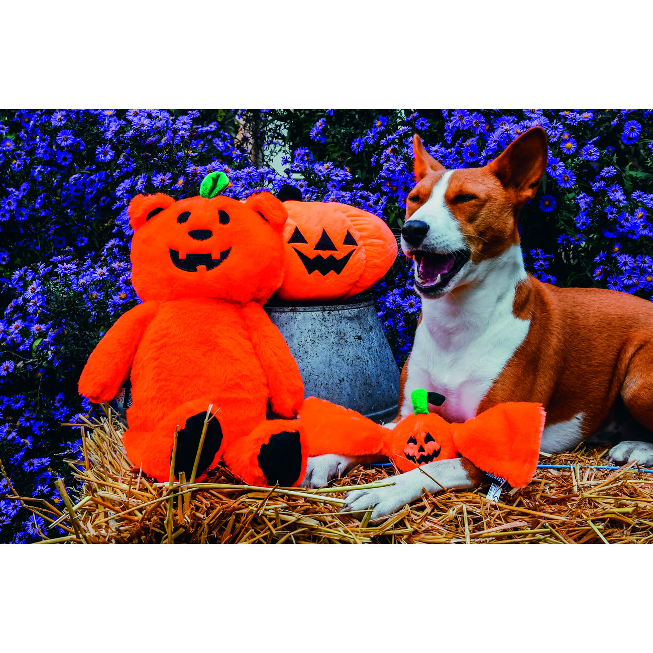 Halloween Plüsch Kürbisbär Bild 2