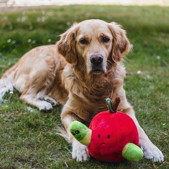 Hide and Seek Apfel Hundespielzeug Bild 5