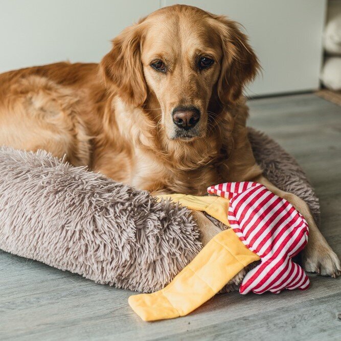 Hide and Seek Bonbon Hundespielzeug Bild 3