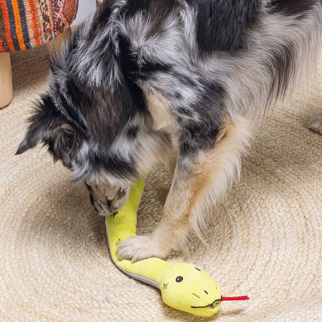 Hide and Seek Hundespielzeug Schlange Bild 2