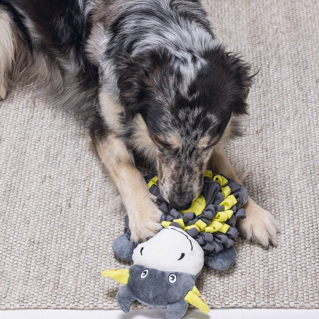 Hide and Seek Kuh Hundespielzeug Bild 2