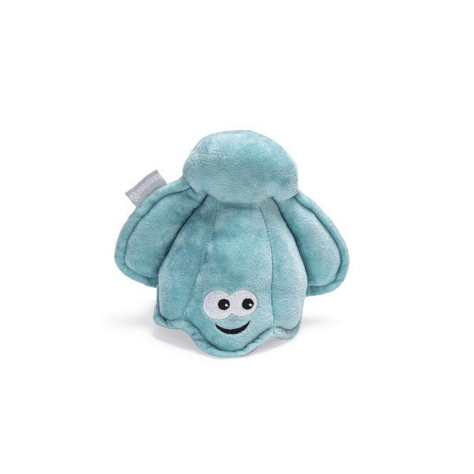 Hide and Seek Muschel Hundespielzeug Bild 5