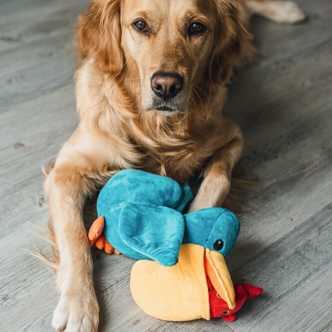 Hide and Seek Peli Bild 3