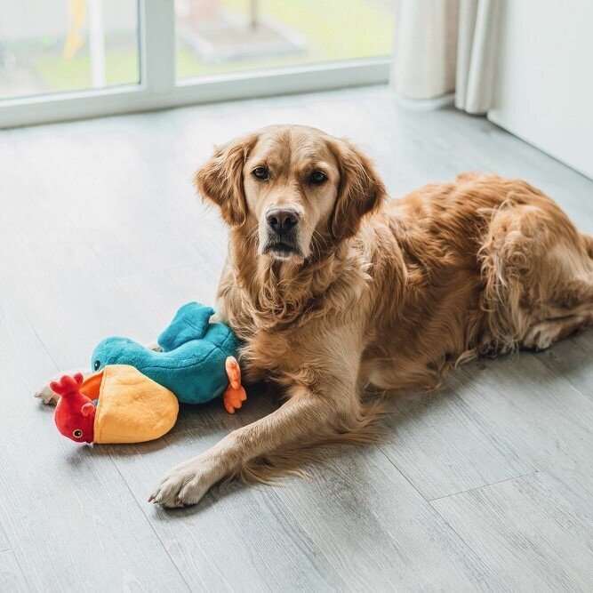 Hide and Seek Peli Bild 4