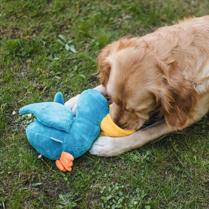 Hide and Seek Peli Bild 2