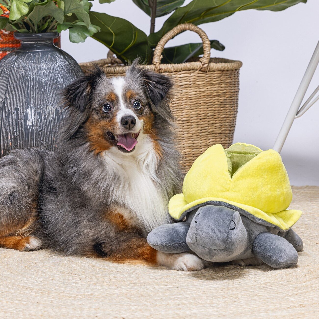 Hide and Seek Schildo Hundespielzeug Bild 2