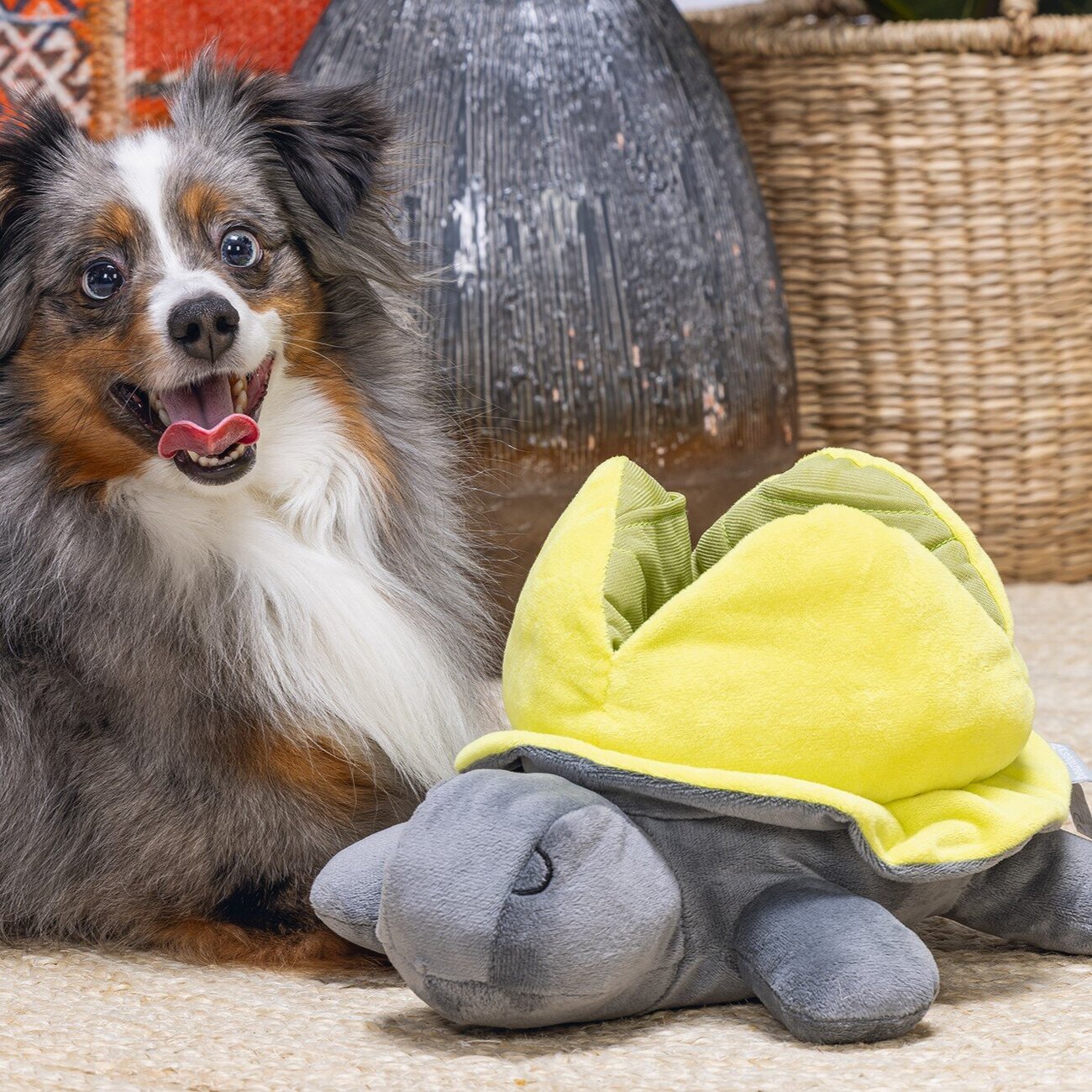 Hide and Seek Schildo Hundespielzeug Bild 5