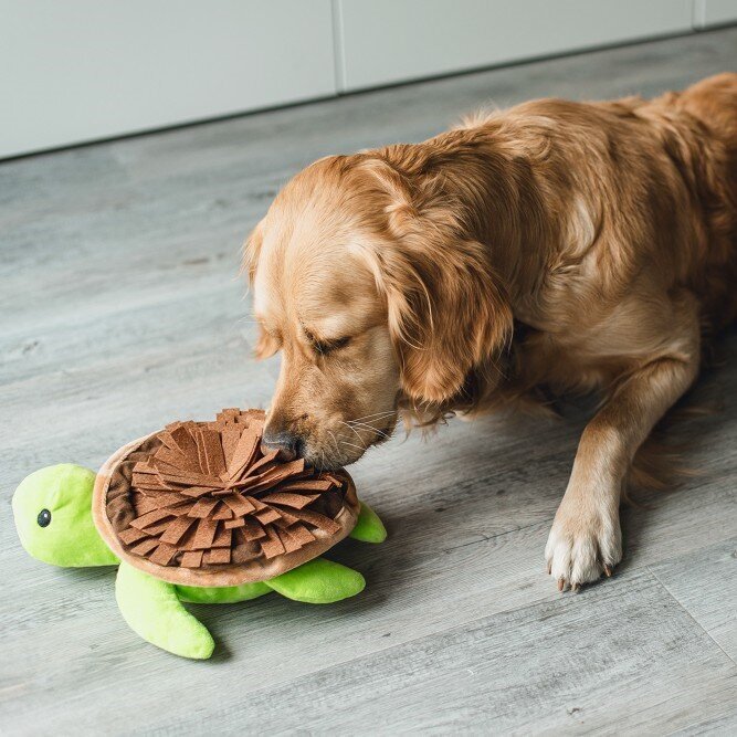 Hide and Seek Schilli Hundespielzeug Bild 5