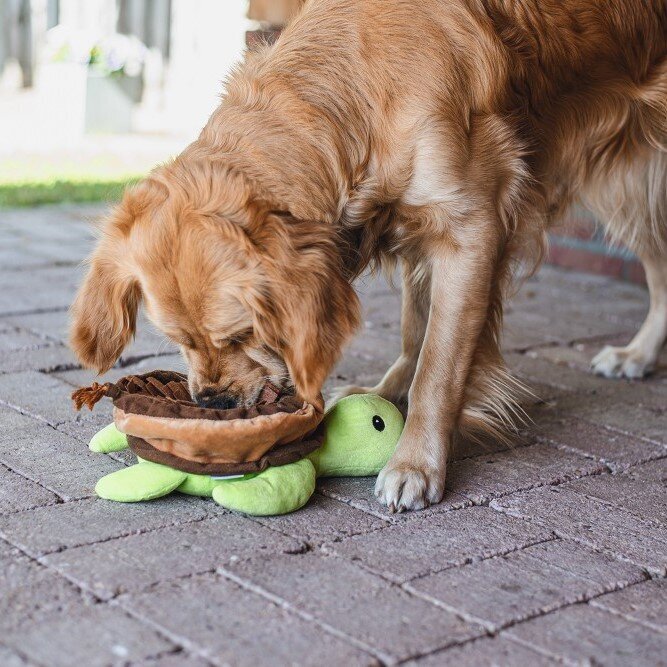 Hide and Seek Schilli Hundespielzeug Bild 7