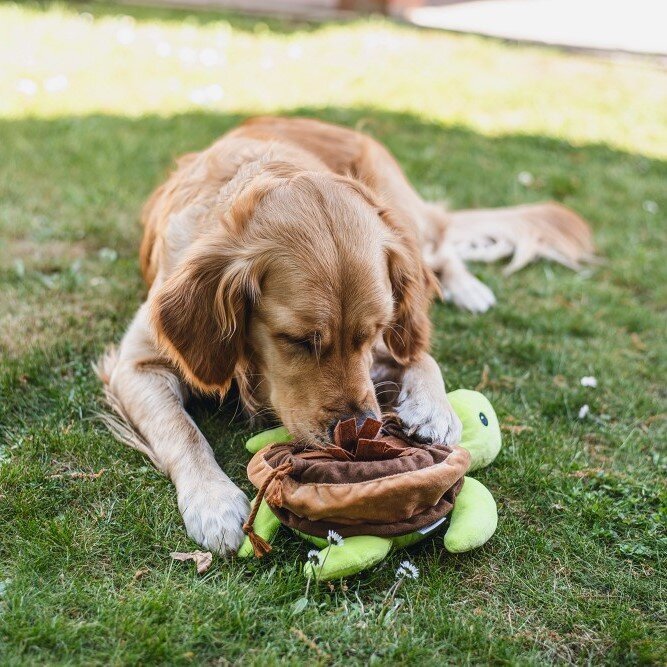 Hide and Seek Schilli Hundespielzeug Bild 8