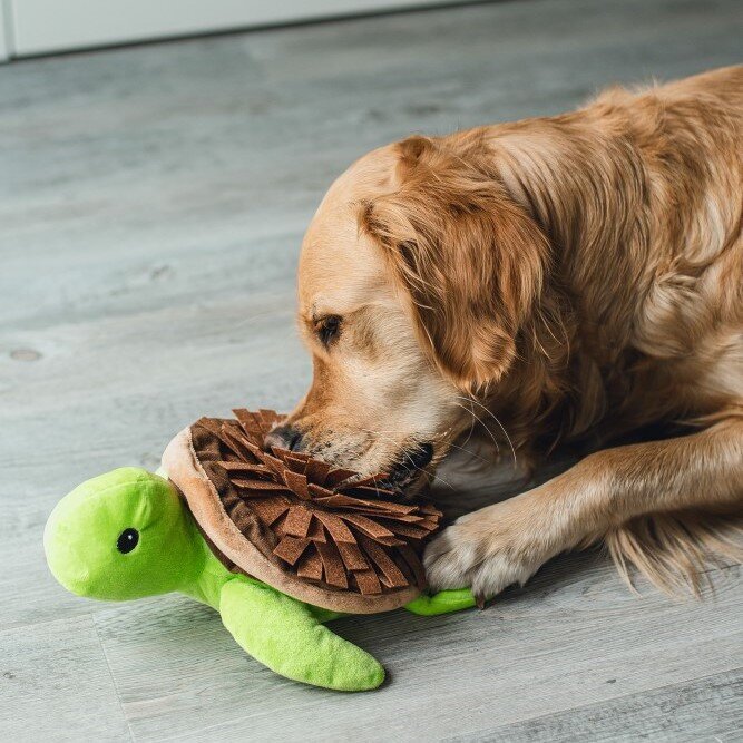 Hide and Seek Schilli Hundespielzeug Bild 6