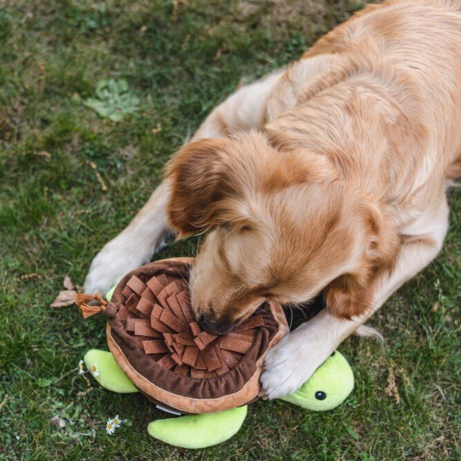 Hide and Seek Schilli Hundespielzeug Bild 2