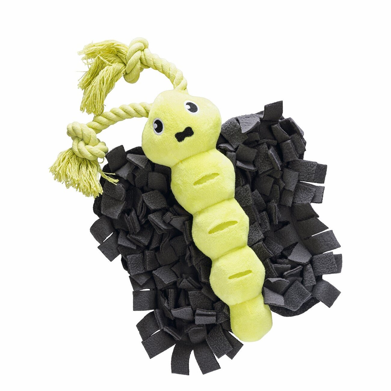 Hide and Seek Schmetterling Hundespielzeug Bild 1