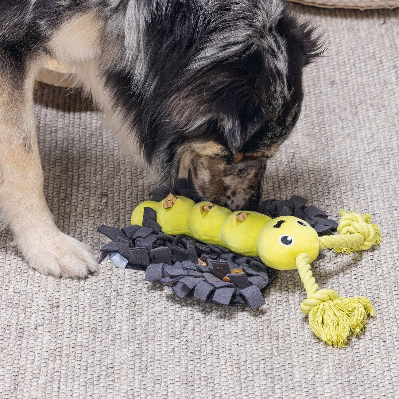 Hide and Seek Schmetterling Hundespielzeug Bild 2