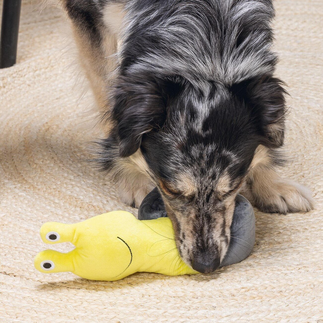 Hide and Seek Schnecke Hundespielzeug Bild 2