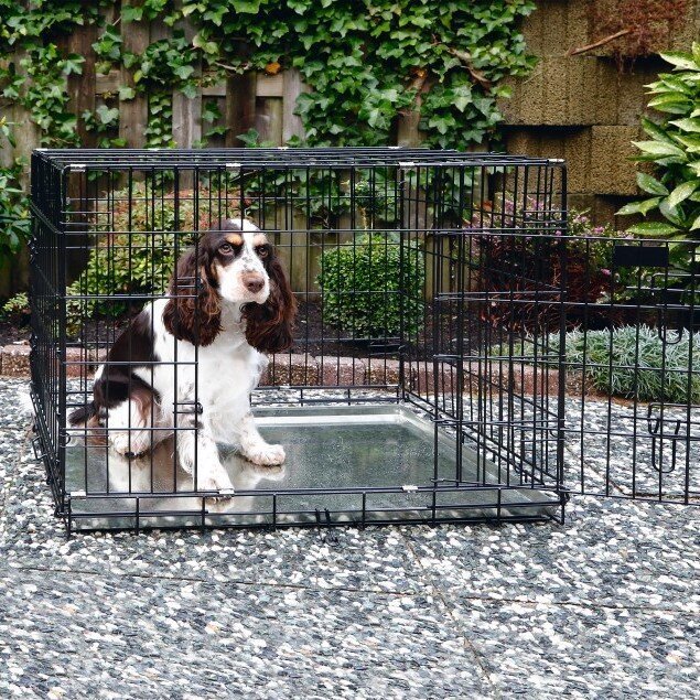 Hunde Gitterbox schwarz verzinkt Bild 2