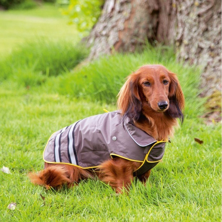 Hunde Regenmantel Seja Reflex Bild 2