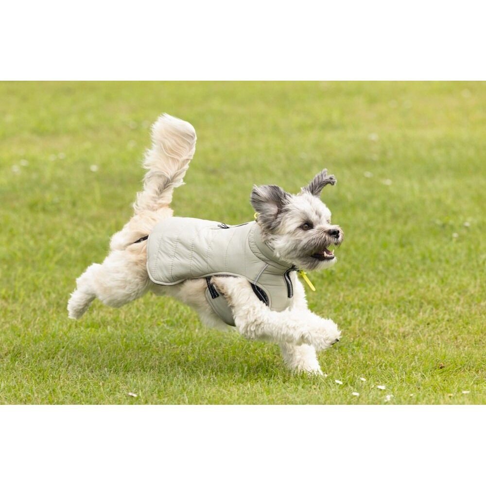 Beeztees Hundemantel Bobby Bild 2