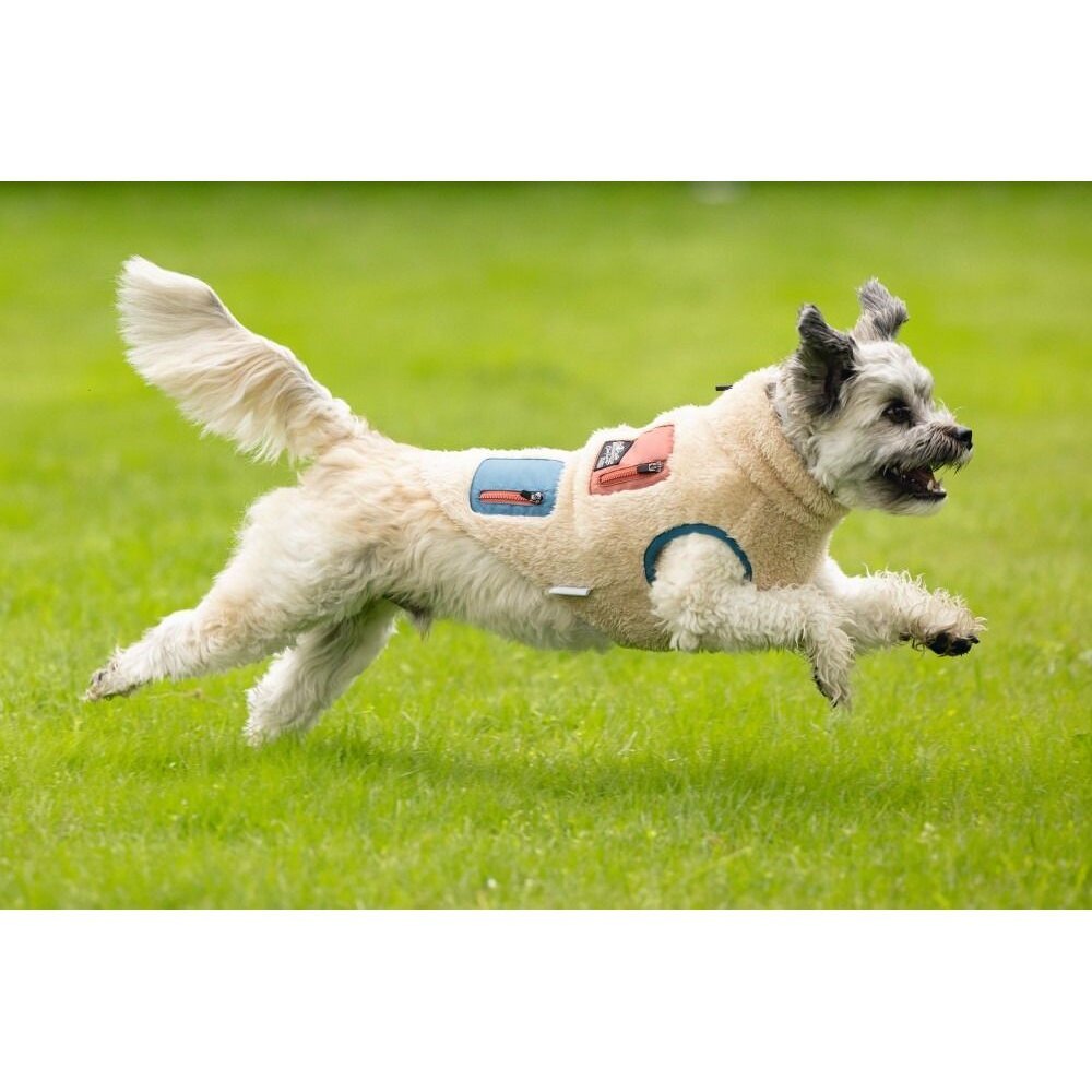 Beeztees Hundemantel Teddy Bild 2